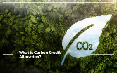 What is Carbon Credit Allocation?